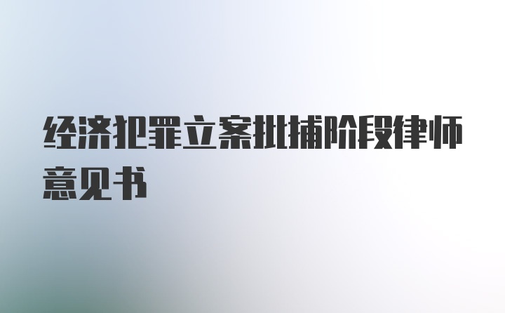 经济犯罪立案批捕阶段律师意见书