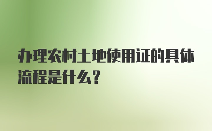 办理农村土地使用证的具体流程是什么？