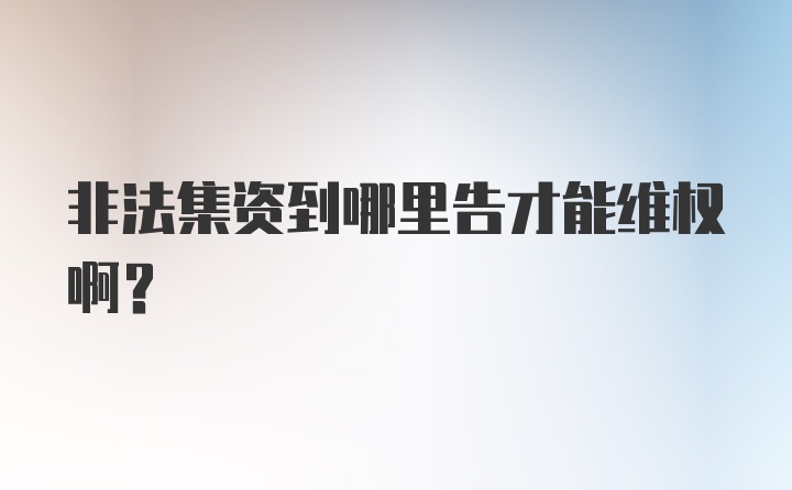 非法集资到哪里告才能维权啊？