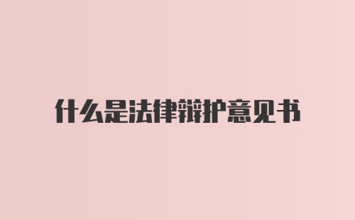 什么是法律辩护意见书