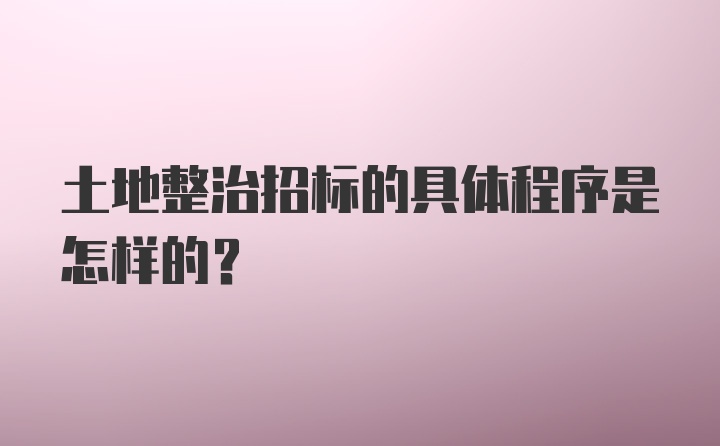 土地整治招标的具体程序是怎样的？