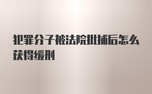 犯罪分子被法院批捕后怎么获得缓刑