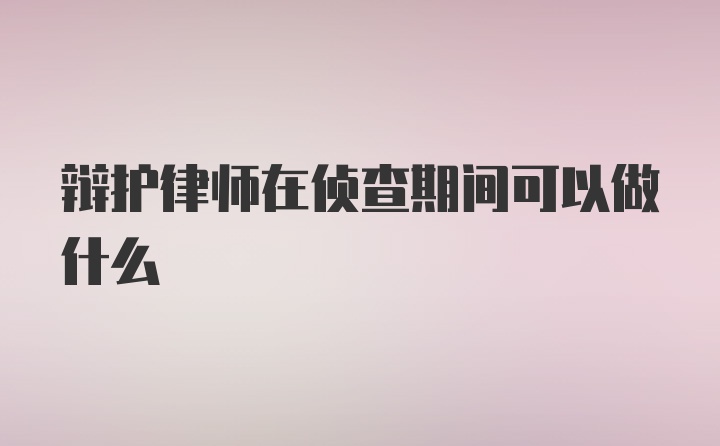 辩护律师在侦查期间可以做什么