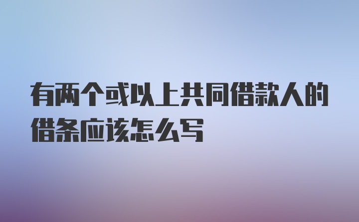 有两个或以上共同借款人的借条应该怎么写