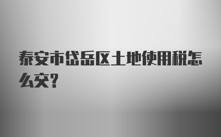 泰安市岱岳区土地使用税怎么交？