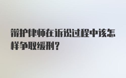 辩护律师在诉讼过程中该怎样争取缓刑？