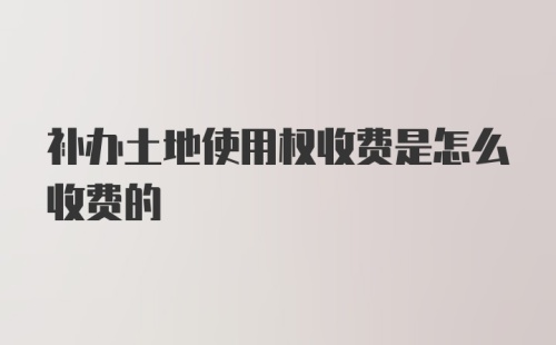 补办土地使用权收费是怎么收费的