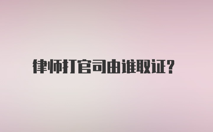 律师打官司由谁取证？