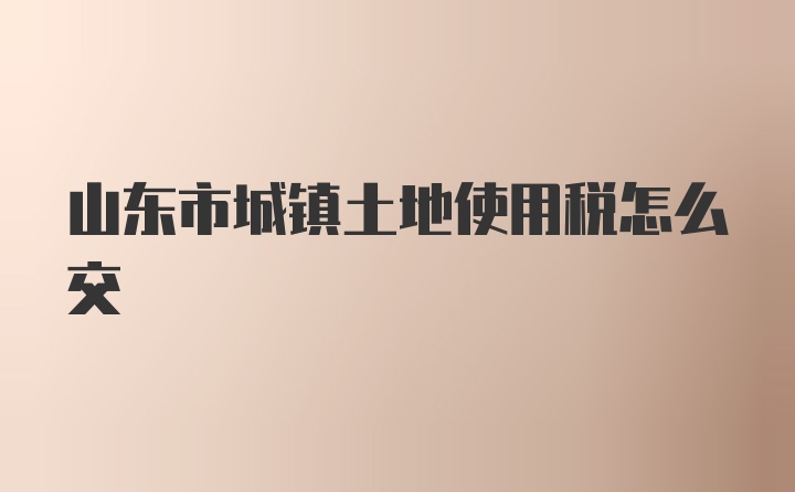 山东市城镇土地使用税怎么交