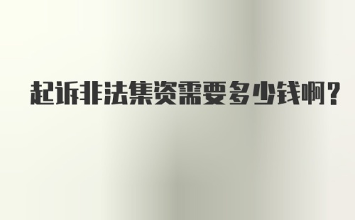 起诉非法集资需要多少钱啊？