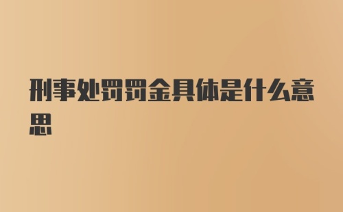 刑事处罚罚金具体是什么意思