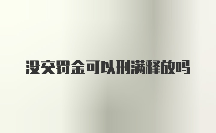 没交罚金可以刑满释放吗