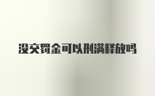 没交罚金可以刑满释放吗