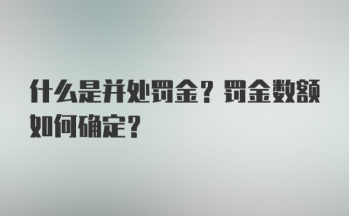 什么是并处罚金？罚金数额如何确定？