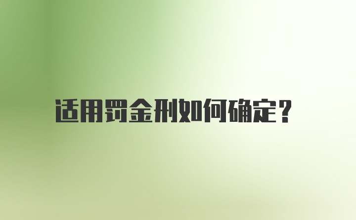 适用罚金刑如何确定？