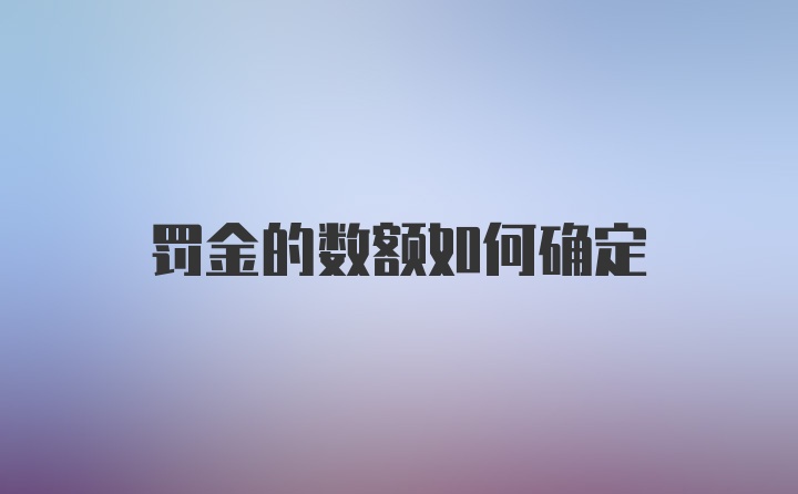 罚金的数额如何确定