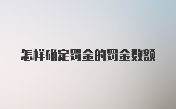 怎样确定罚金的罚金数额