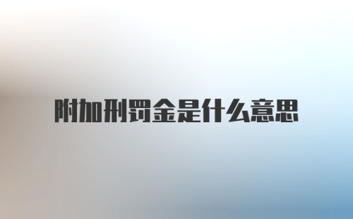 附加刑罚金是什么意思