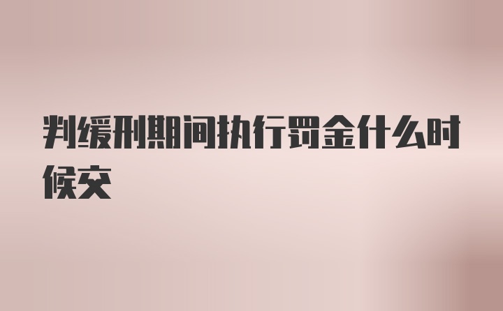 判缓刑期间执行罚金什么时候交