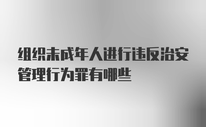 组织未成年人进行违反治安管理行为罪有哪些