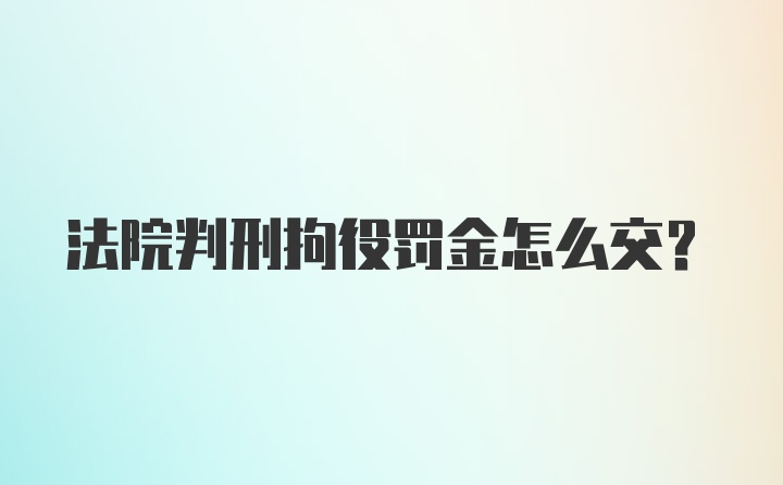 法院判刑拘役罚金怎么交？