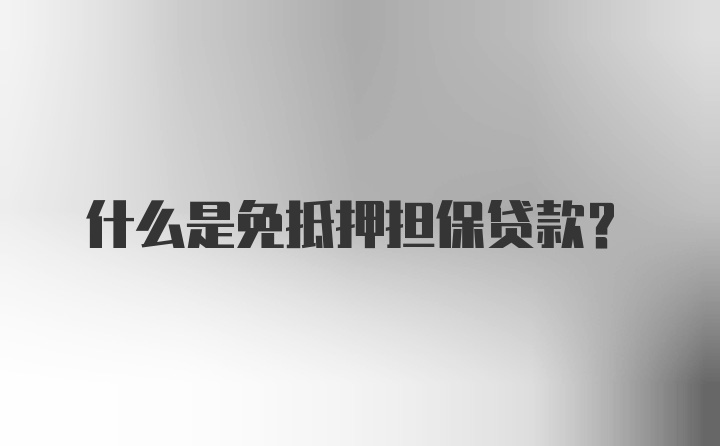 什么是免抵押担保贷款？