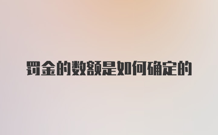 罚金的数额是如何确定的