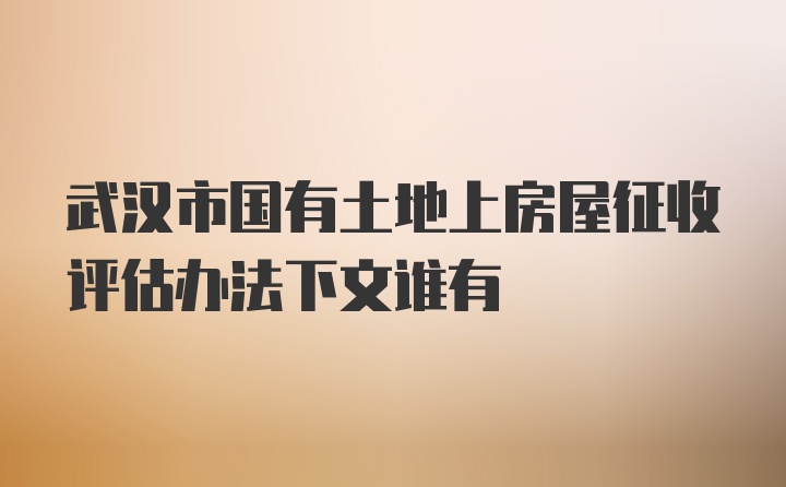 武汉市国有土地上房屋征收评估办法下文谁有