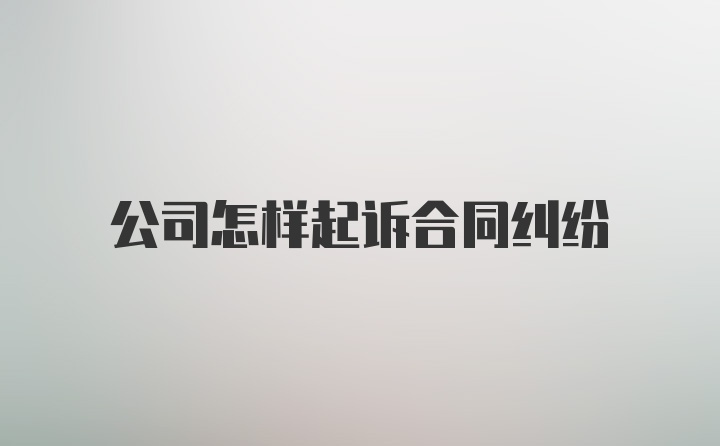 公司怎样起诉合同纠纷