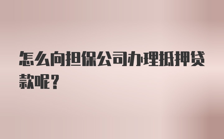 怎么向担保公司办理抵押贷款呢?