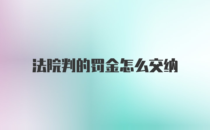 法院判的罚金怎么交纳