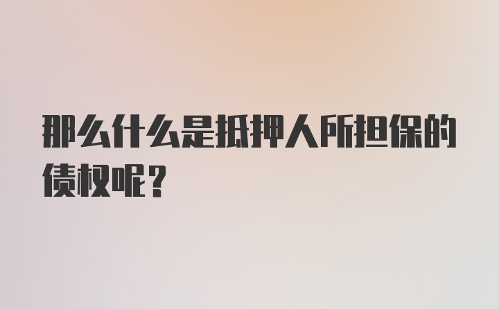 那么什么是抵押人所担保的债权呢？