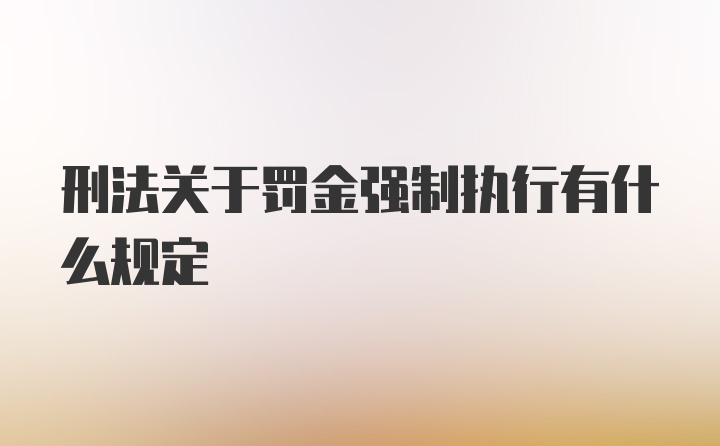 刑法关于罚金强制执行有什么规定