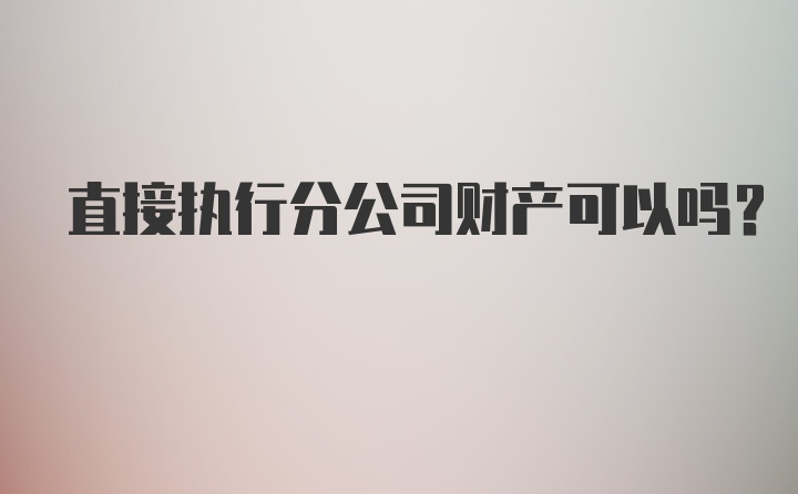 直接执行分公司财产可以吗?