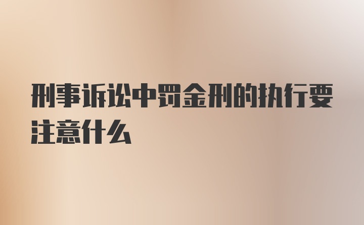 刑事诉讼中罚金刑的执行要注意什么