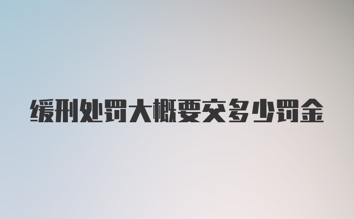 缓刑处罚大概要交多少罚金