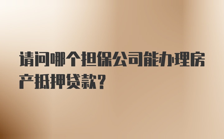 请问哪个担保公司能办理房产抵押贷款？