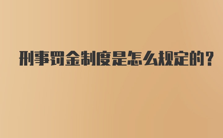 刑事罚金制度是怎么规定的？