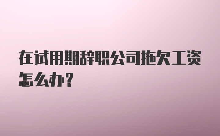 在试用期辞职公司拖欠工资怎么办？