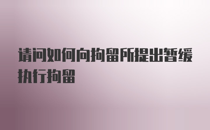 请问如何向拘留所提出暂缓执行拘留