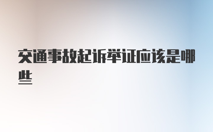 交通事故起诉举证应该是哪些