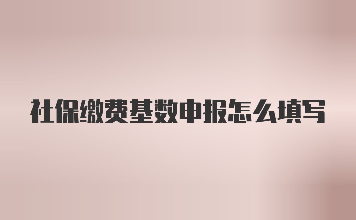 社保缴费基数申报怎么填写