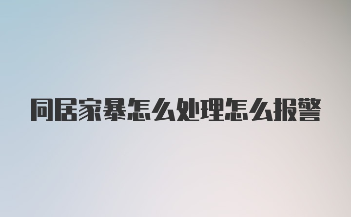 同居家暴怎么处理怎么报警