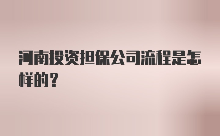 河南投资担保公司流程是怎样的？