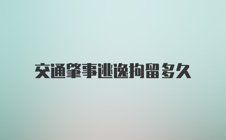 交通肇事逃逸拘留多久