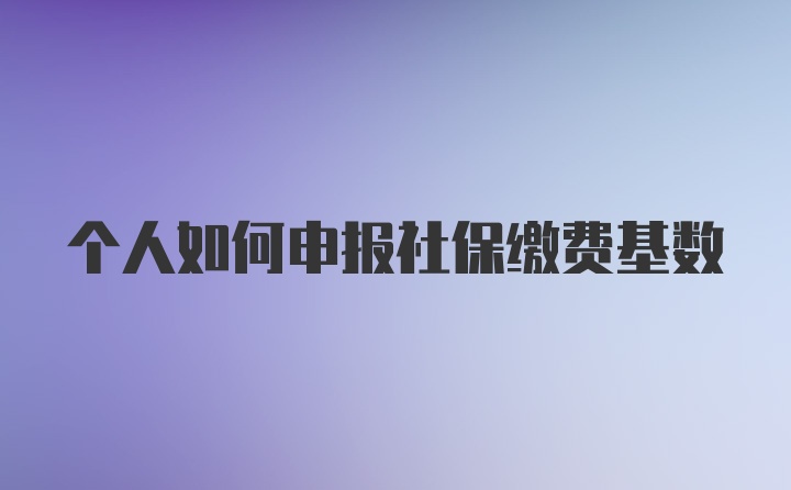 个人如何申报社保缴费基数