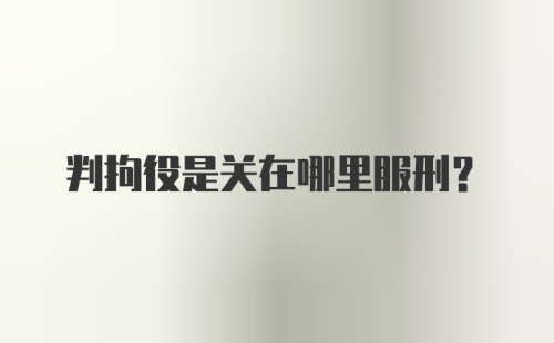 判拘役是关在哪里服刑?