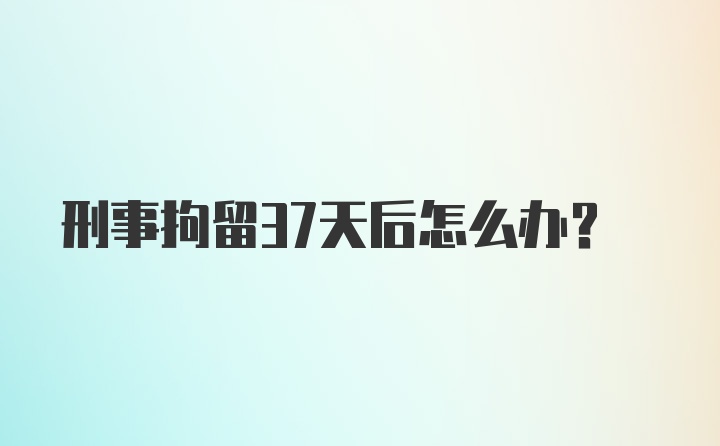 刑事拘留37天后怎么办?