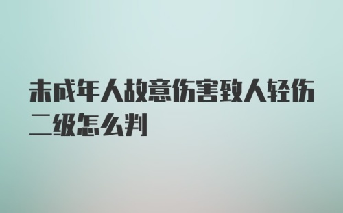 未成年人故意伤害致人轻伤二级怎么判