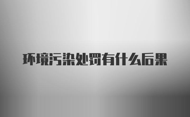 环境污染处罚有什么后果